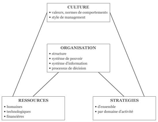 Schéma de cohérence entre stratégies, organisation, culture et ressources